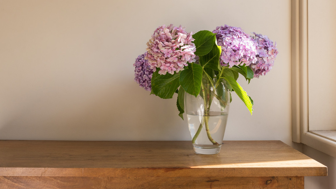 How To Keep Hydrangeas Alive In A Vase
