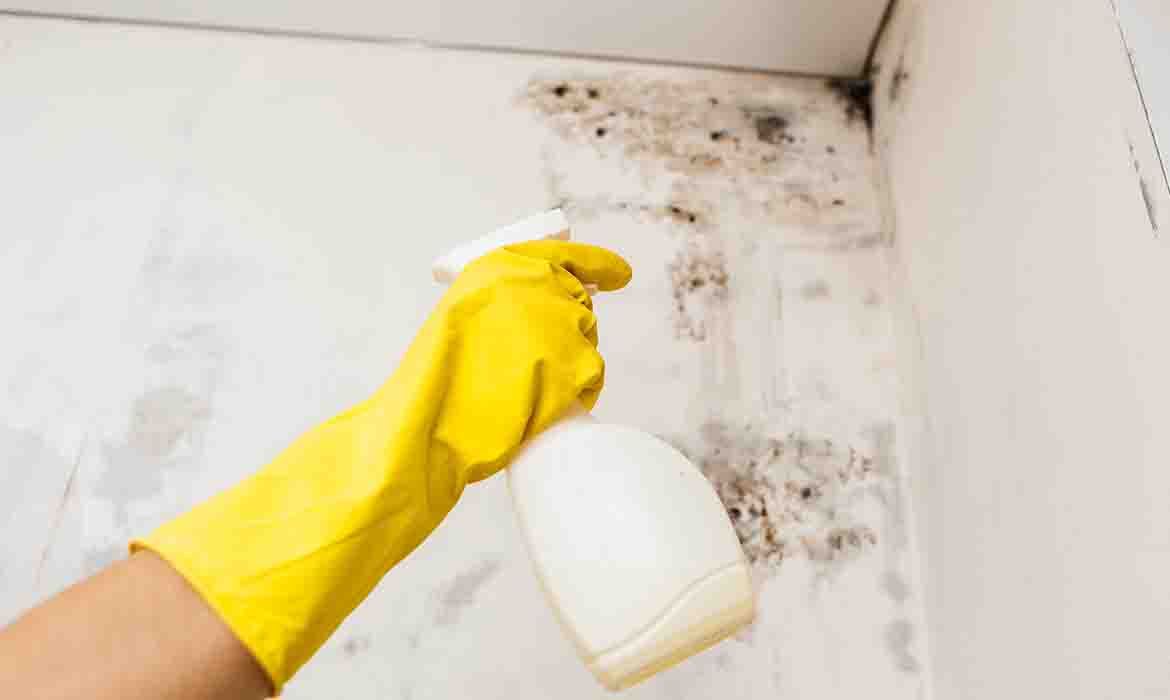 Enviromental Services Mold Removal services