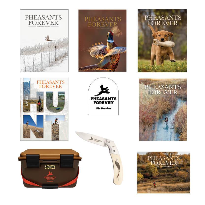 2025 Annual Appeal PF Life Membership items