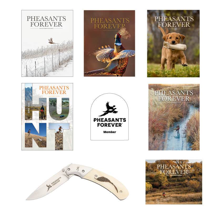 2025 Annual Appeal PF Associate Membership items