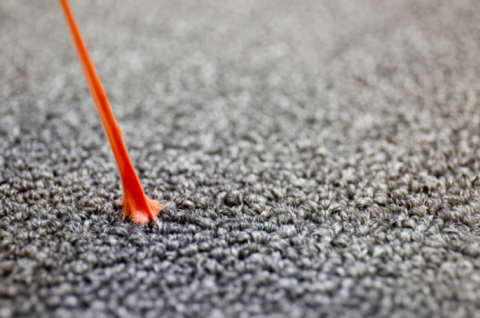 Remove Chewing Gum From Rug