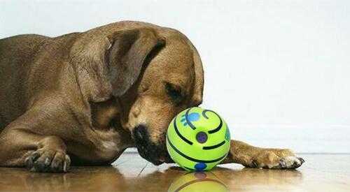 Wiggle Giggle Ball Dog Toy
