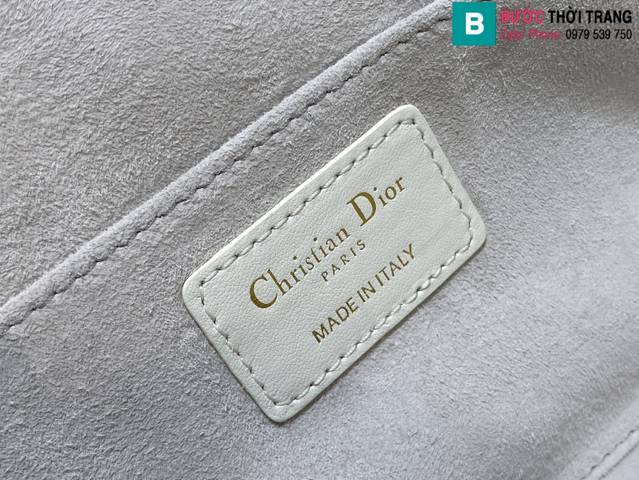 Túi xách Dior Ammi siêu cấp da bê màu trắng size 31cm