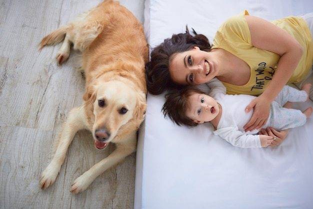 Choosing the Perfect Dog for Your Toddler: What Makes a Dog Breed Suitable for Toddlers? thumbnail