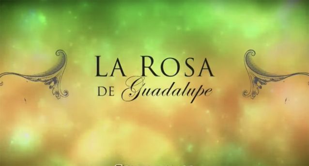 La Rosa de Guadalupe en Vivo – Tlnovelas – Horario, Donde ver por TV, Internet y Más