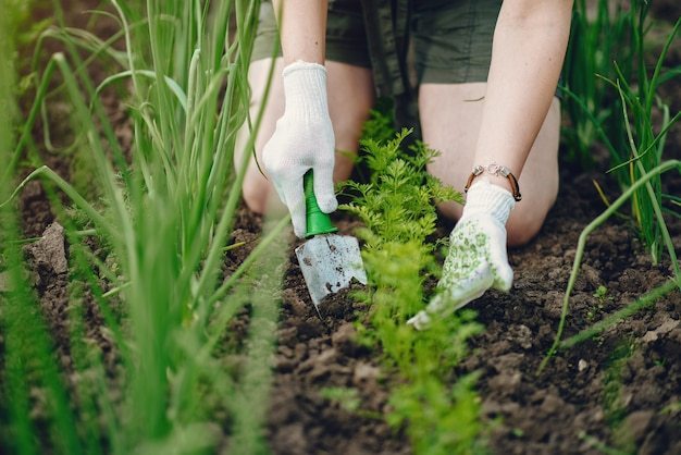 When to Plant Vegetables?: Vegetable Planting: What You Need To Do thumbnail
