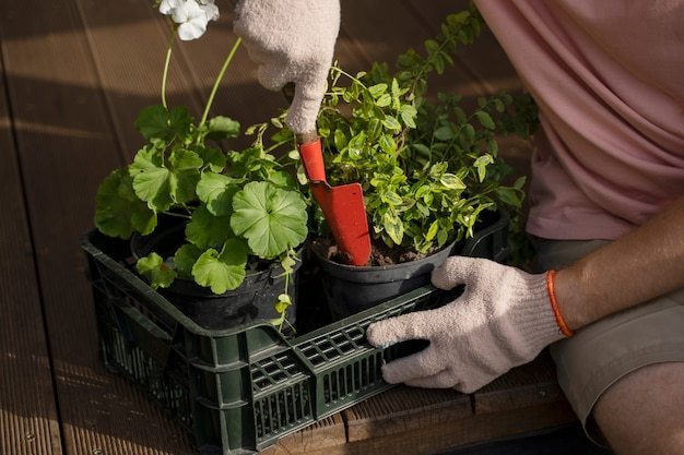 When is the Best Time to Plant Vegetables?: Vegetable Company Planting Advice For Experts thumbnail