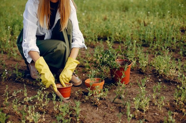  When to Plant Vegetables?: Vegetable Gardening Basics  thumbnail