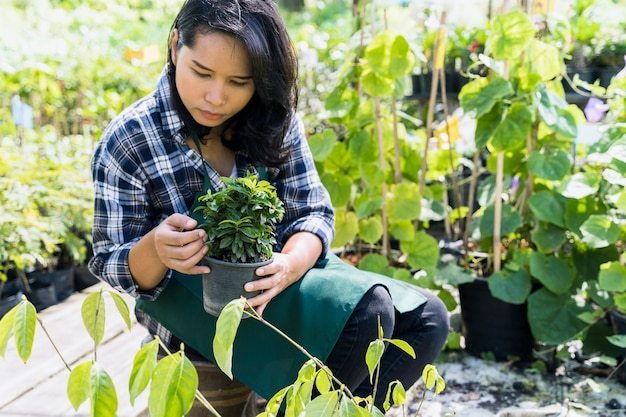 When is the Best Time to Plant Vegetables?: Vegetable Planting For Experts thumbnail