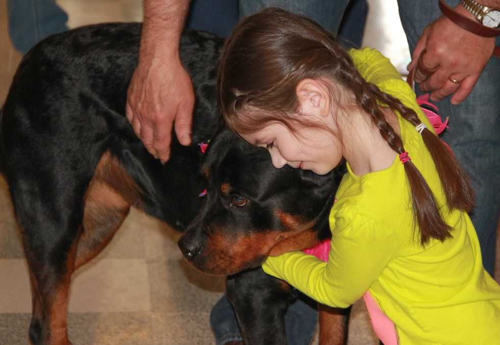 How Do Rottweilers Show Affection 